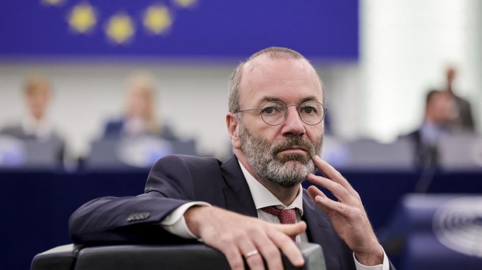Weber con l'oppositore di Orban, '&egrave; lui la voce dell'Ungheria'