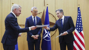 Finnland ist nach jahrzehntelanger B&uuml;ndnisfreiheit nun 31.  Nato-Mitglied