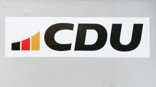 CDU nach Wahl von AfD-Landtagspr&auml;sident Rausch unter Druck