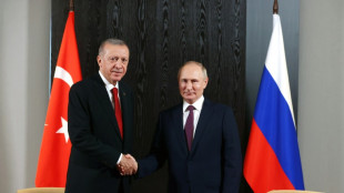 Rusia y Ucrania dispuestas a intercambiar 200 prisioneros, seg&uacute;n Turqu&iacute;a