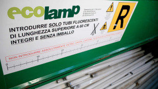 Ecolamp, nel 2025 la raccolta sfiora tremila tonnellate di Raee