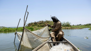 Au lac Tchad, la baisse de l’aide humanitaire fait craindre une hausse des attaques terroristes