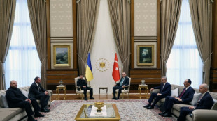 Ukraine: Selenskyj und Erdogan bem&uuml;hen sich um Wiederbelebung von Verhandlungen