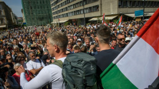 Depuis la Hongrie vers la Roumanie, un "pèlerinage" contre un rapprochement Orban-Simion