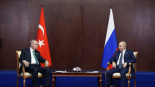 T&uuml;rkische Regierung stellt neues Erdgas-Projekt mit Russland infrage