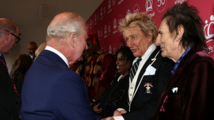 Rod Stewart anula conciertos en Norteam&eacute;rica por operaci&oacute;n card&iacute;aca