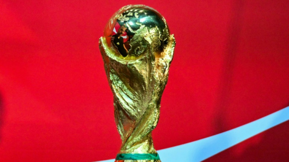 Trump envoy wants Italy to replace Iran at World Cup: report 