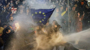 Georgia's geopolitical future at the heart of its protests 