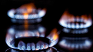 Il gas sale a 89 euro sul mercato di Amsterdam (+2,9%)