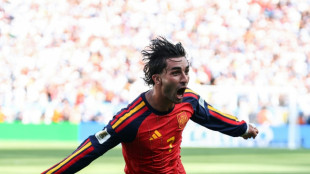Barcelona agree to sell Torres to PSG: media