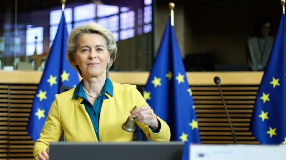 Zelenski elogia respaldo de la UE a Ucrania en medio de "feroces" combates en el Donb&aacute;s