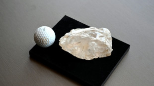 Le deuxième plus gros diamant au monde bientôt dans un musée ?