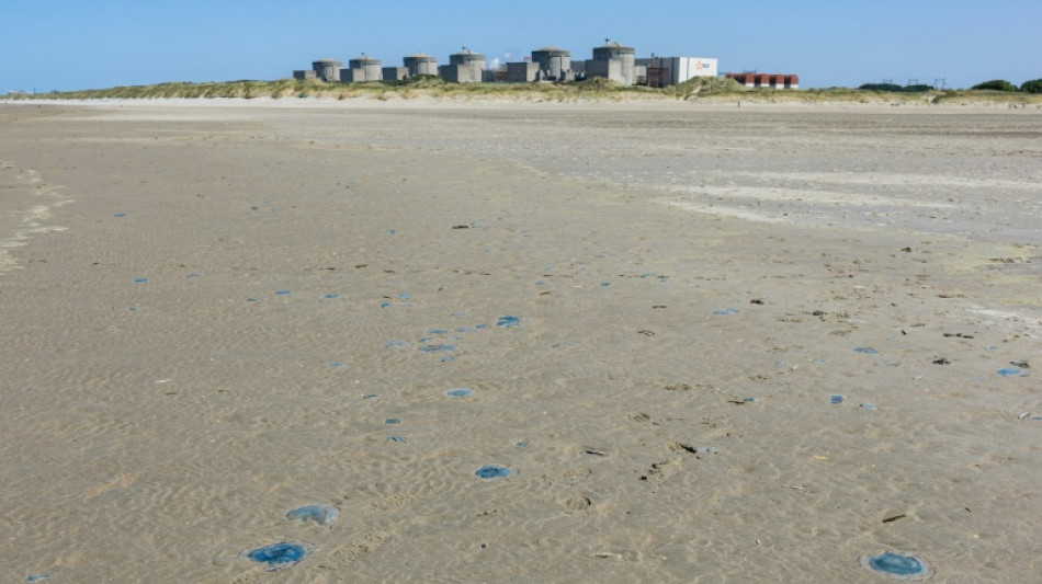 M&eacute;duses &agrave; la centrale nucl&eacute;aire de Gravelines: un nouveau r&eacute;acteur arr&ecirc;t&eacute; 