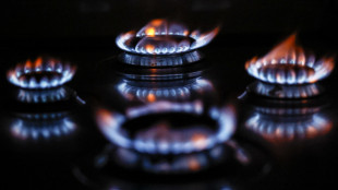 Il prezzo del gas chiude pesante, perde il 7%