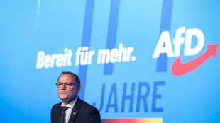 Chrupalla will &uuml;ber m&ouml;glichen Parteivorsitz H&ouml;ckes nicht spekulieren