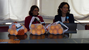 Tornano le Arance della Salute Airc, il 24 gennaio in 3mila piazze per ricerca sul cancro