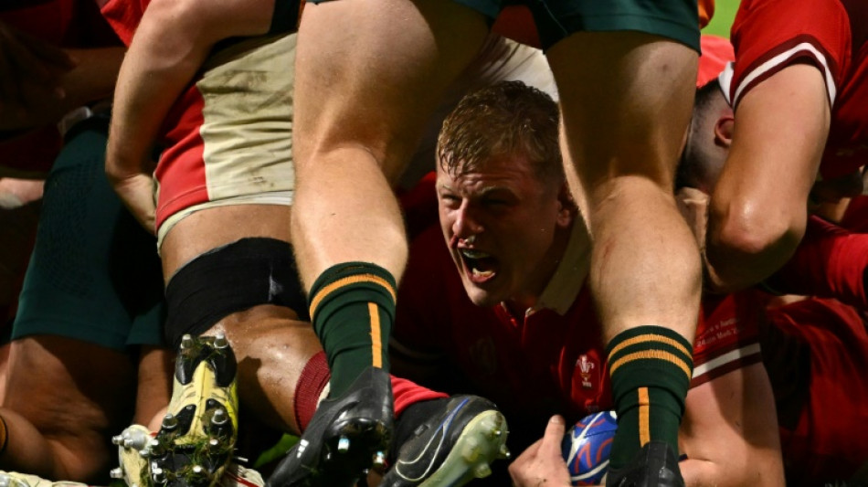 'Dangerous' Wales hope to ride momentum past Argentina into World Cup semis