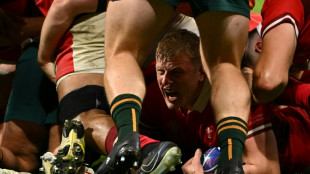 'Dangerous' Wales hope to ride momentum past Argentina into World Cup semis