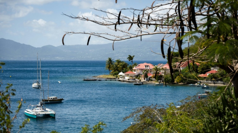 Nouvelles mesures de protection de l'oc&eacute;an, un an apr&egrave;s la conf&eacute;rence de Nice