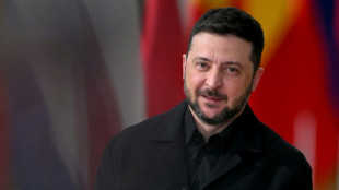Zelensky insta UE a usar ativos russos congelados para empréstimo à Ucrânia