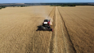 La Russie contr&ocirc;le 22% des terres agricoles en Ukraine, selon la Nasa