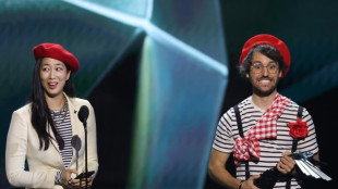 French indie 'Clair Obscur' dominates Game Awards