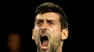 Djokovic crushes Rublev to reach Australian Open semi-finals 