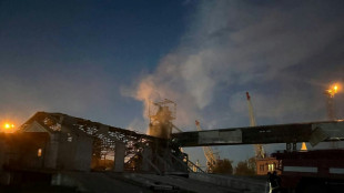 Russischer Angriff auf ukrainischen Donau-Hafen nahe Rum&auml;nien sorgt f&uuml;r Emp&ouml;rung