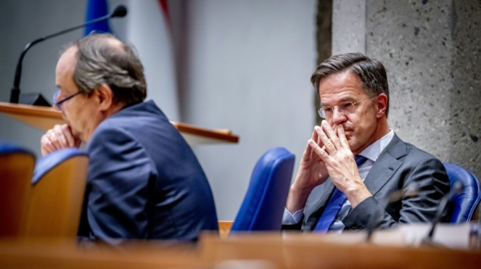 Medien: Niederl&auml;ndische Regierung zerbricht an Streit &uuml;ber Einwanderungspolitik