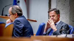 Medien: Niederl&auml;ndische Regierung zerbricht an Streit &uuml;ber Einwanderungspolitik
