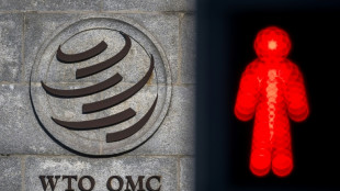 E-commerce in the crosshairs at WTO in digital taxes battle