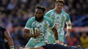 Am gives South Africa coach Nienaber potential selection headache