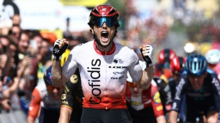 Frenchman Lafay wins Tour de France second stage
