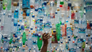 Only nine percent of plastic recycled worldwide: OECD