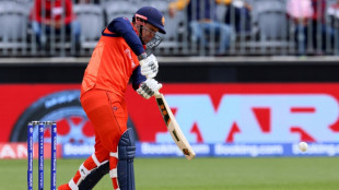 Cape crusaders star for Dutch at Cricket World Cup