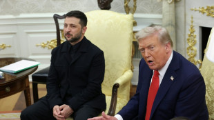 Trump bereitet Selenskyj freundlichen Empfang - Merz bekräftigt Forderung nach Waffenruhe