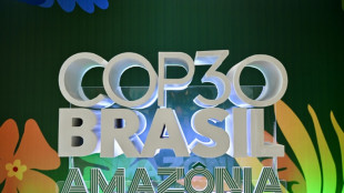 A un mes de la COP30, Lula exhibe buenas notas en materia climática