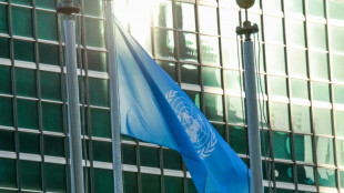 Climat: l'Assembl&eacute;e g&eacute;n&eacute;rale de l'ONU adopte un texte pour consolider les obligations des Etats