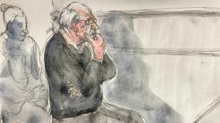 Prozess um 299 Missbrauchsfälle in Frankreich: Arzt will "keine Milde"