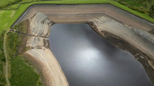 Hitzewelle in Europa: England klagt wegen anhaltender Dürre über Wasserknappheit