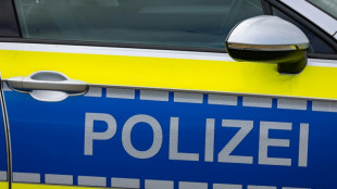 Anh&auml;nger samt Jacuzzi in Mecklenburg-Vorpommern gestohlen