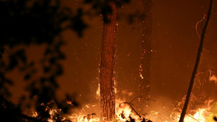 Incendie dans les Landes: reprise de feu dans la nuit, 1.580 hectares br&ucirc;l&eacute;s 