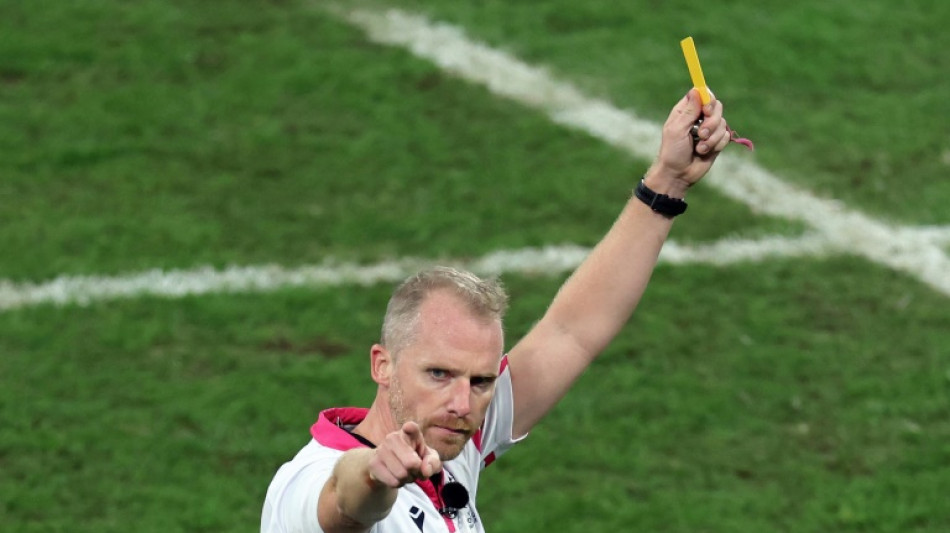 Rugby World Cup final referee Barnes retires after 111 internationals