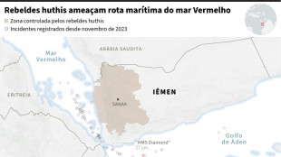 Tr&aacute;fego no Mar Vermelho caiu 30% ap&oacute;s ataques huthis, segundo FMI