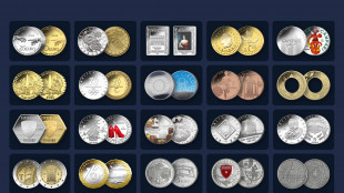 Moneta dell'anno 2025, al via le votazioni sul sito dell'Ipzs