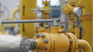 Il gas conclude in calo (-0,9%) a 32,9 euro al Megawattora