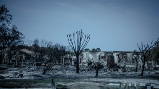 Moradores de &aacute;rea devastada por inc&ecirc;ndio na Fran&ccedil;a vaiam primeiro-ministro