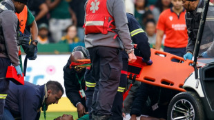 Concussed after 10 seconds, Springbok Williams sidelined 'for at least two weeks'