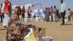 Decenas de muertos en Sud&aacute;n en un ataque de las fuerzas paramilitares