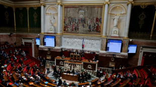 Fin de vie: les députés approuvent un article-clé créant un droit à l'aide à mourir
